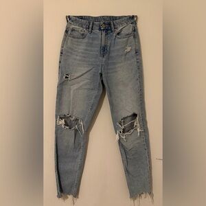 American Eagle Outfitters Light Blue Distressed Boyfriend Jeans